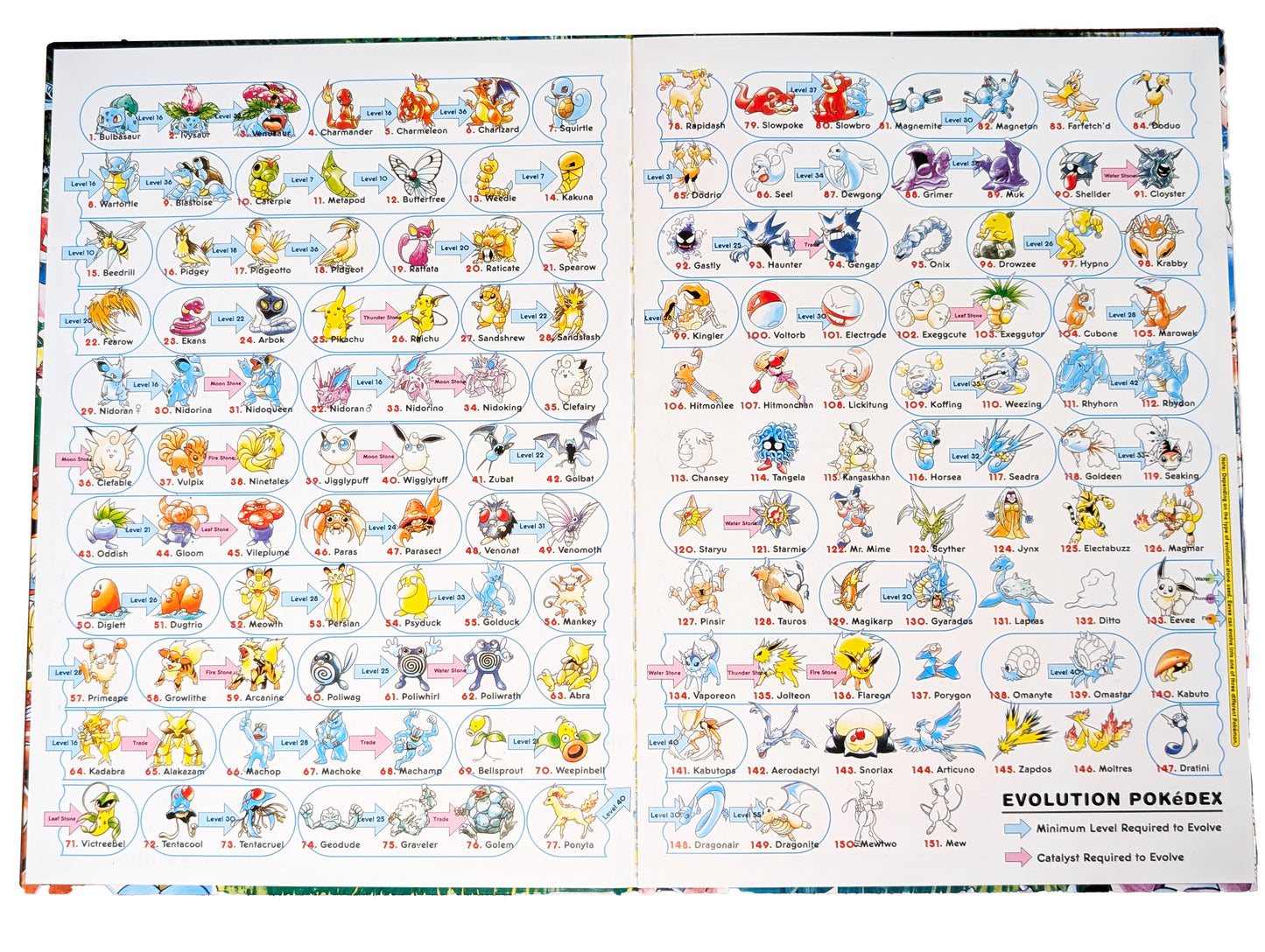 Let's Find PKMN Hard Cover Books