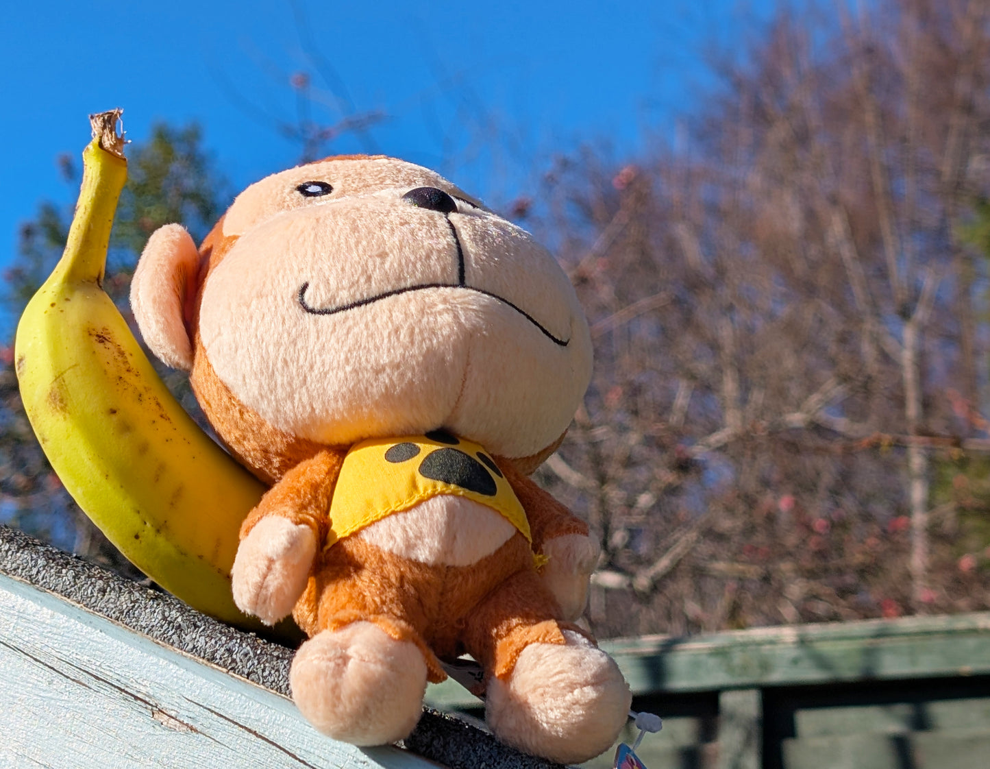 AC The Movie Champ Plush Banpresto Tagged