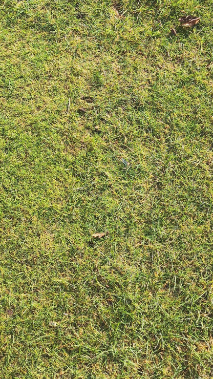 Yujin Minni-Up Mascot Keychains